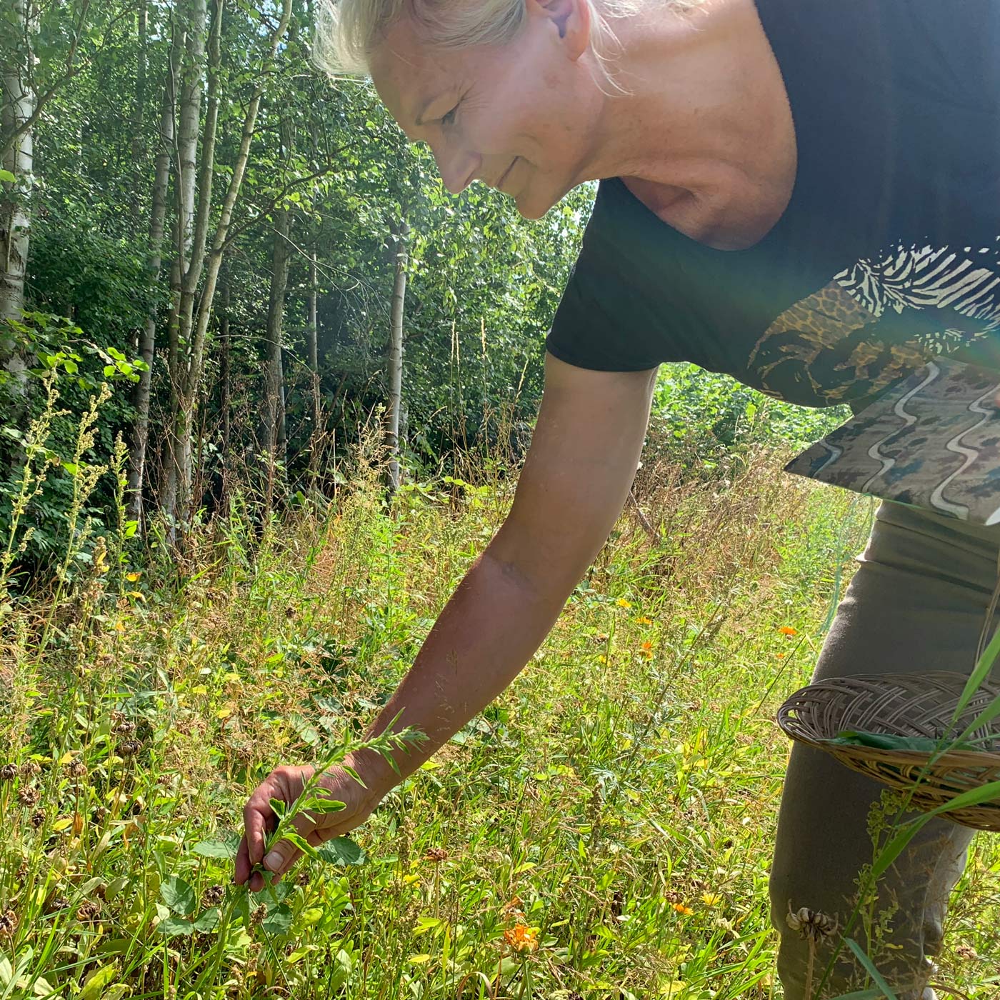 Urte- og workshop med Bettes og Anja Ballegaard