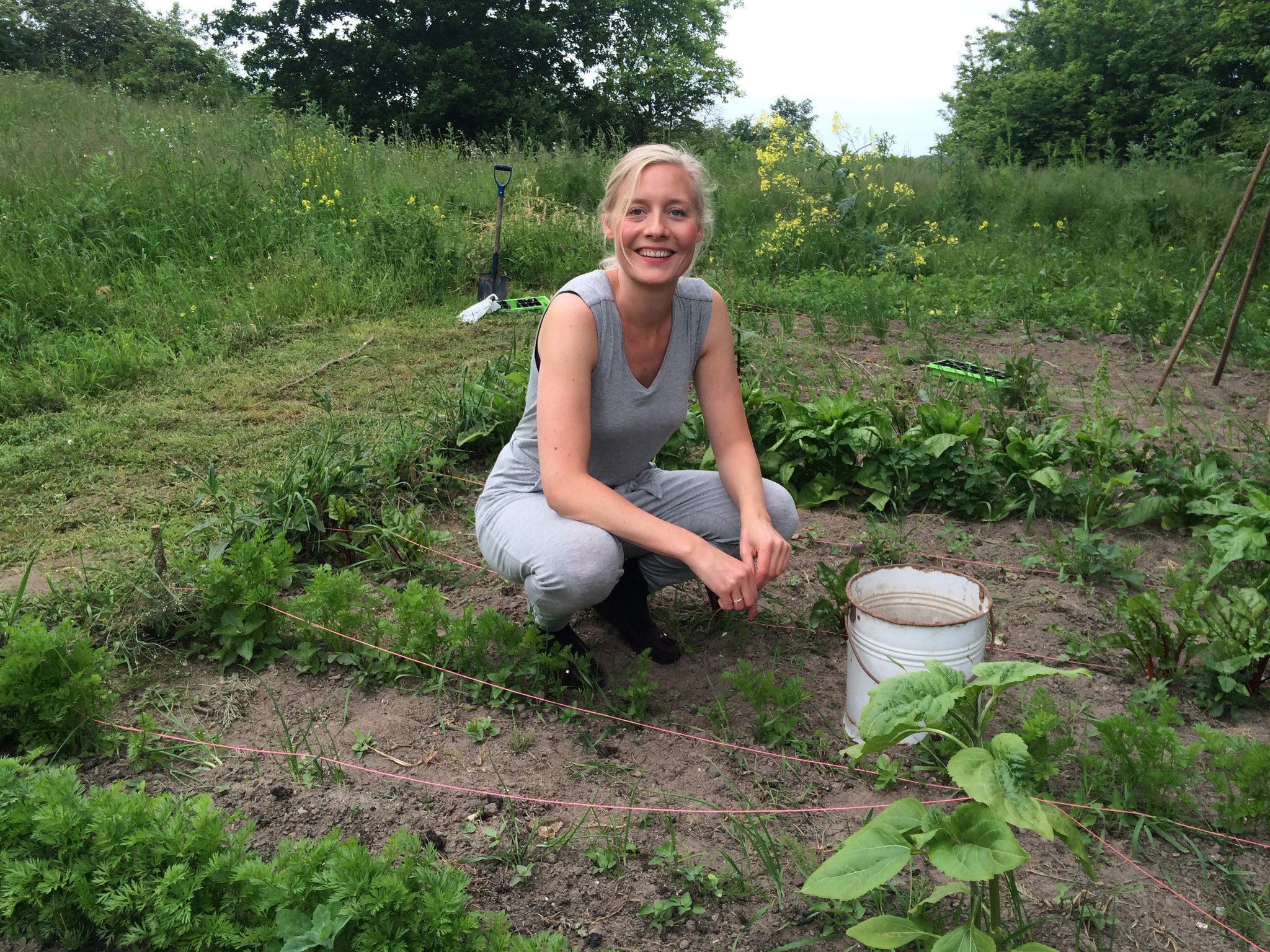 I spent the last few days with my a** in the air - A look at my garden + a yummy Raw Wrap Recipe!