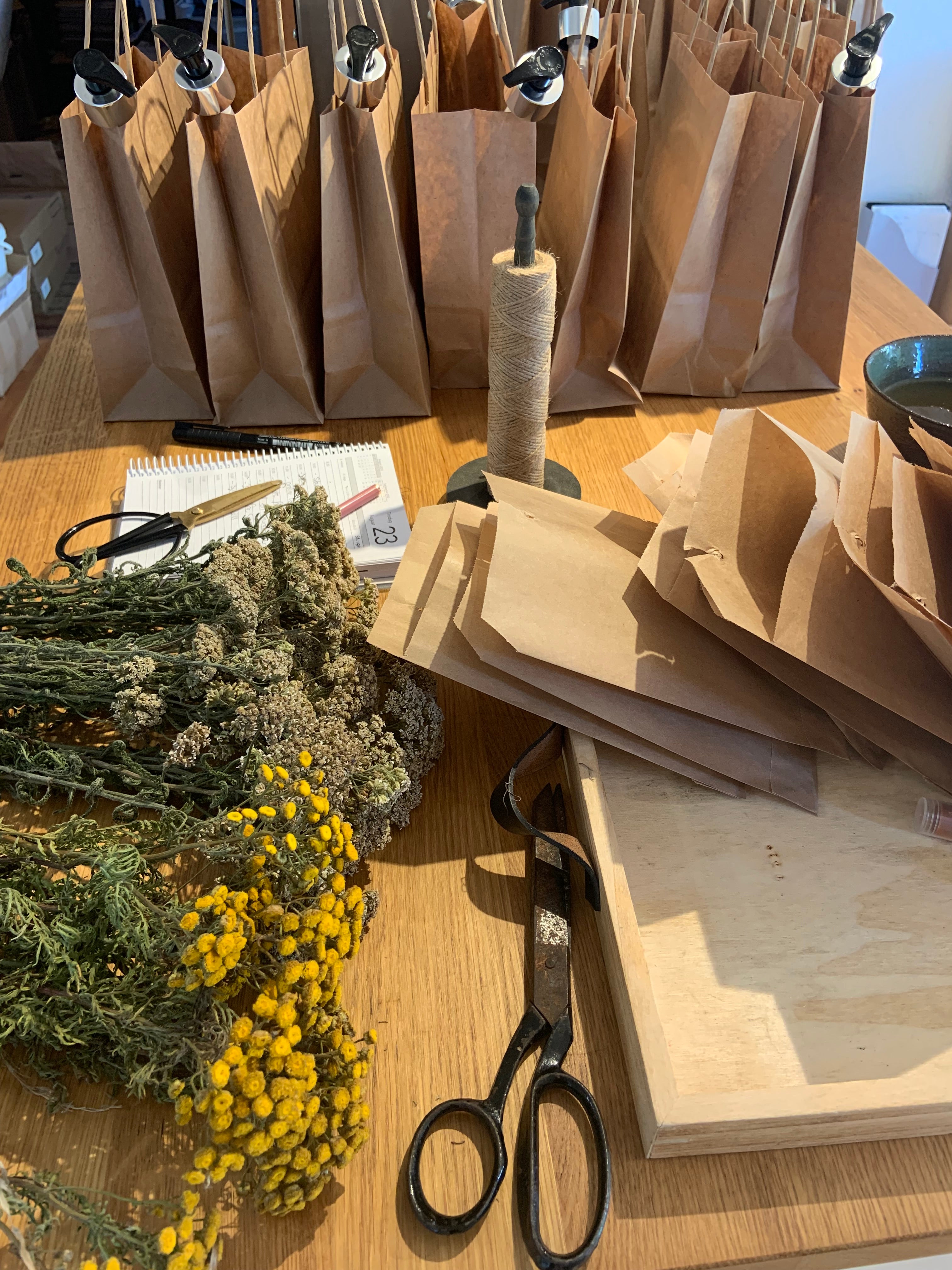 Urtekursus og workshop. Højsommer (heldags) 21. juni 2025